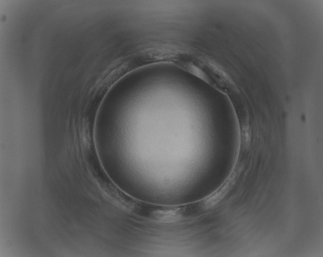 X0000070820170200606230930