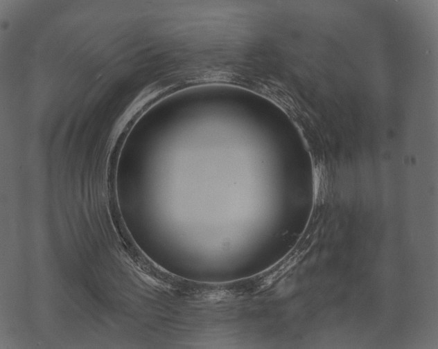 X0000070820195200606230930