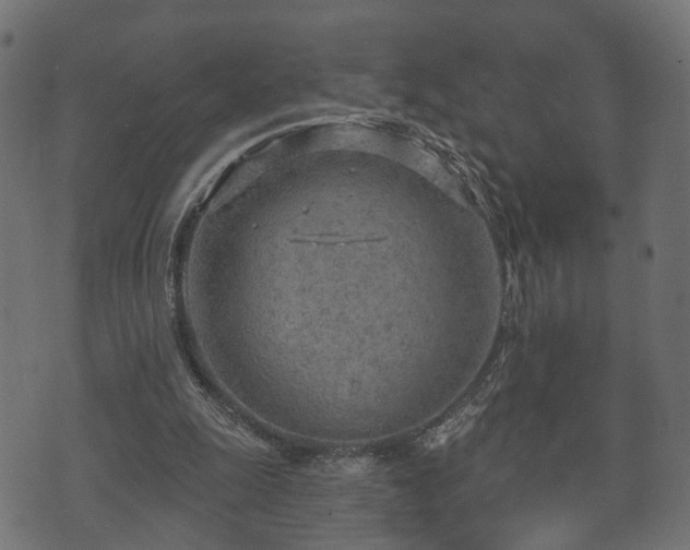 X0000070820247200606230928