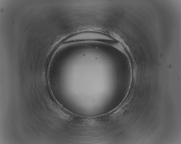 X0000070820249200606230928