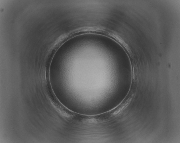 X0000070820253200606230929