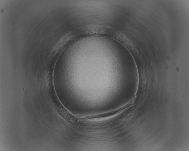 X0000070820255200606230929