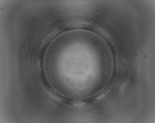 X0000070820258200606230929