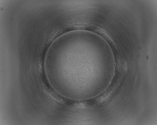 X0000070820259200606230929