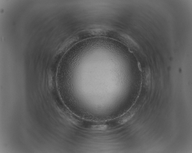 X0000070820266200606230929