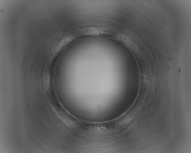 X0000070820304200606230928