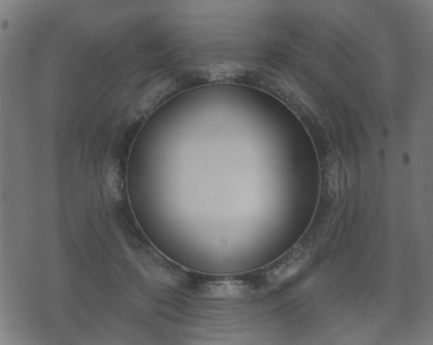 X0000070820316200606230928