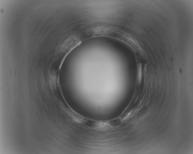 X0000070820333200606230928