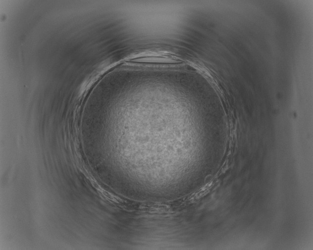 X0000070820337200606230927