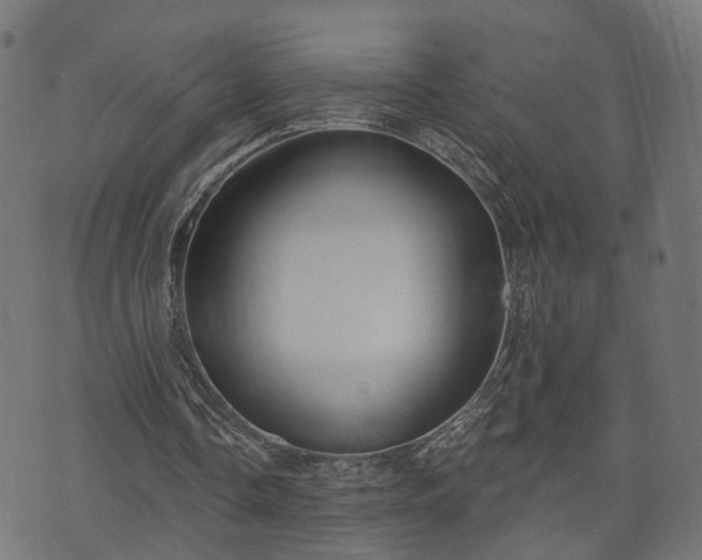 X0000070820338200606230927