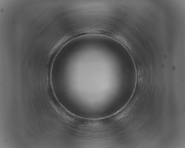 X0000070820349200606230927