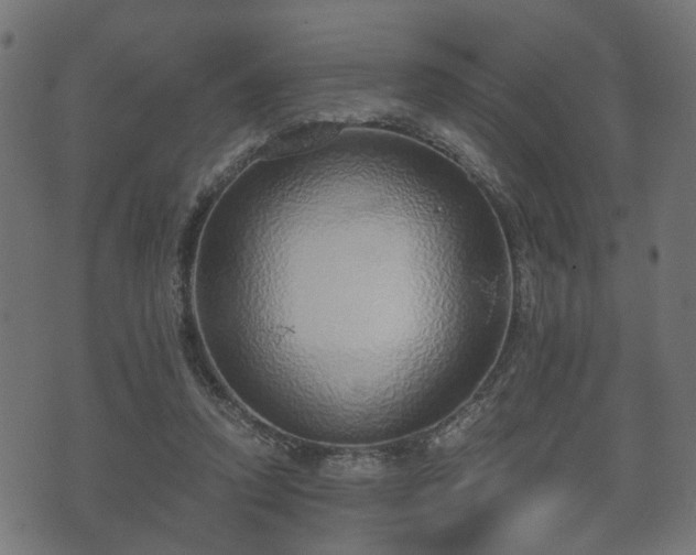 X0000070820354200606230927