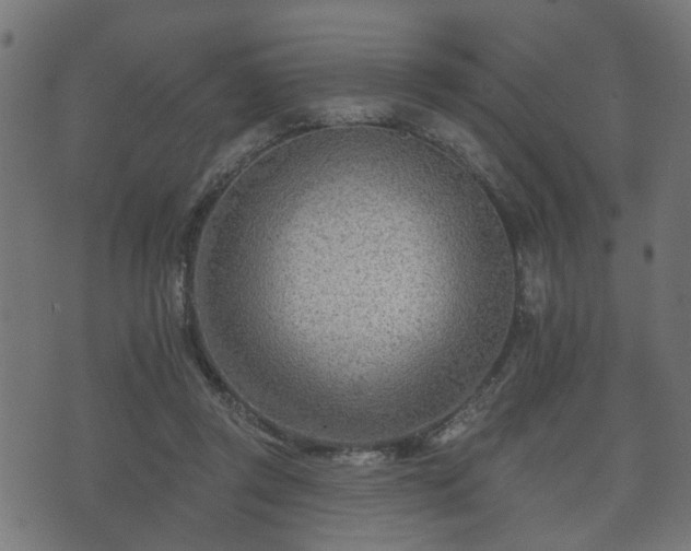 X0000070820357200606230927