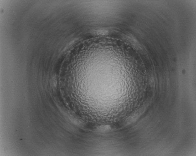 X0000070820374200606230927