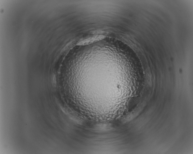 X0000070820375200606230927