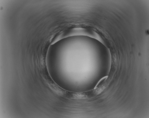 X0000070820380200606230927