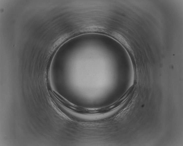 X0000070820389200606230927
