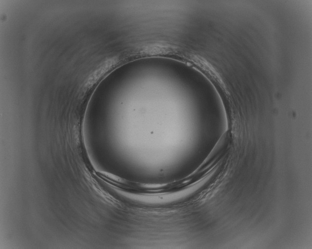X0000070820393200606230927