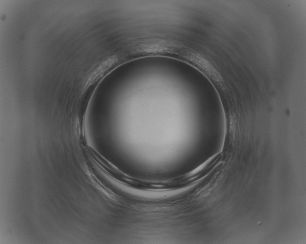 X0000070820397200606230927