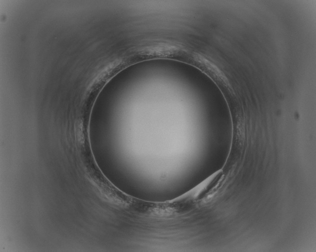 X0000070820403200606230926