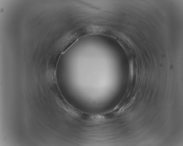 X0000070820429200606230926