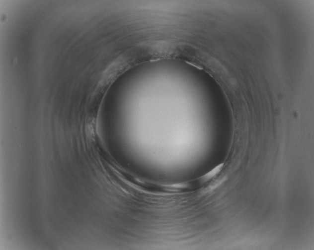 X0000070820432200606230926