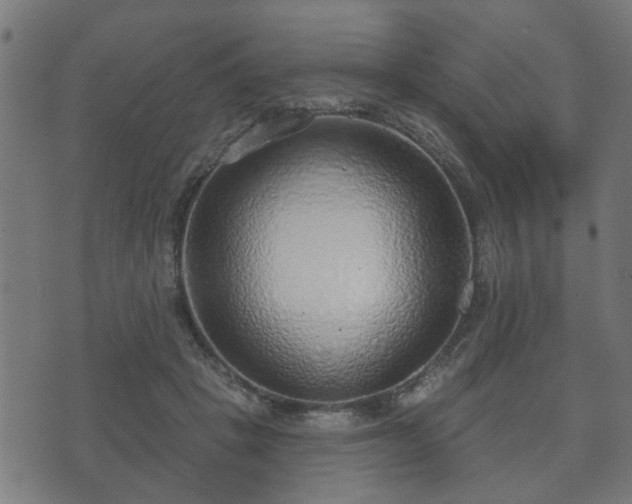 X0000070820457200606230926
