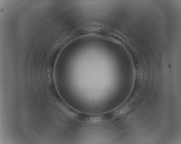 X0000070820462200606230926