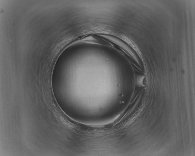 X0000070820481200606230925