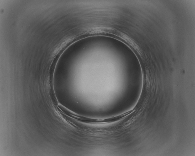 X0000070820485200606230925