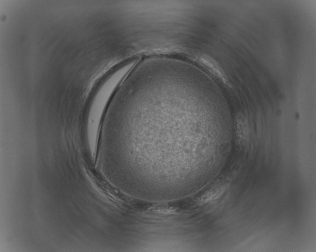 X0000070820491200606230925