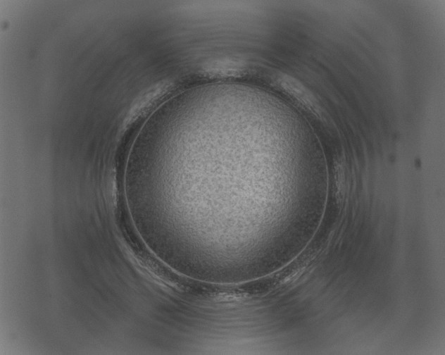 X0000070820494200606230925