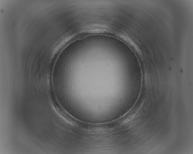 X0000070820533200606230924
