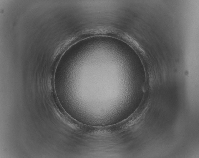 X0000070820537200606230924