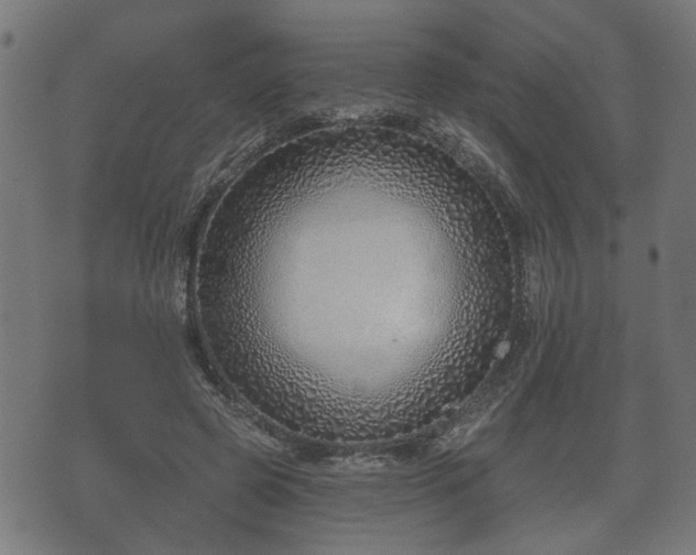 X0000070820545200606230924
