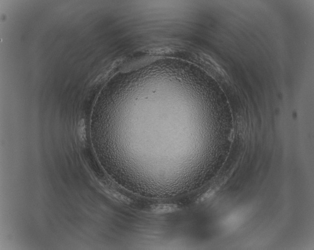 X0000070820549200606230924
