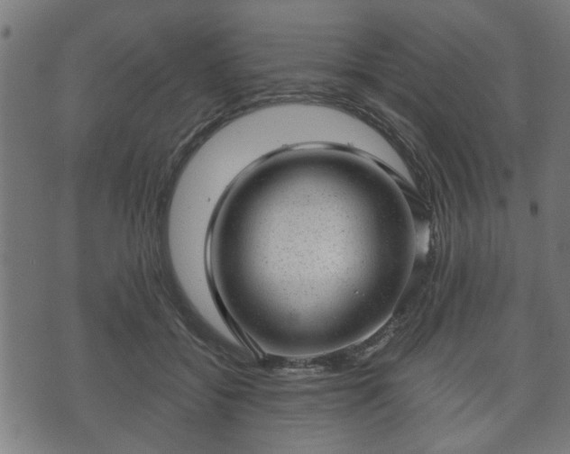 X0000070820556200606230924