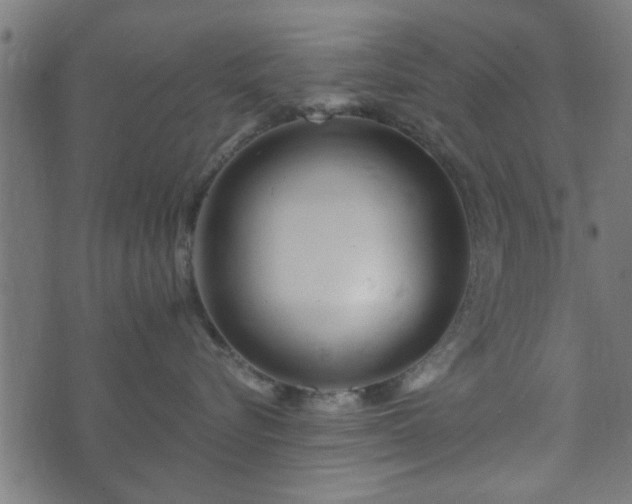X0000070820576200606230924