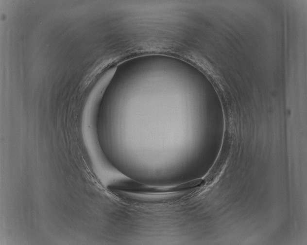 X0000070820577200606230924
