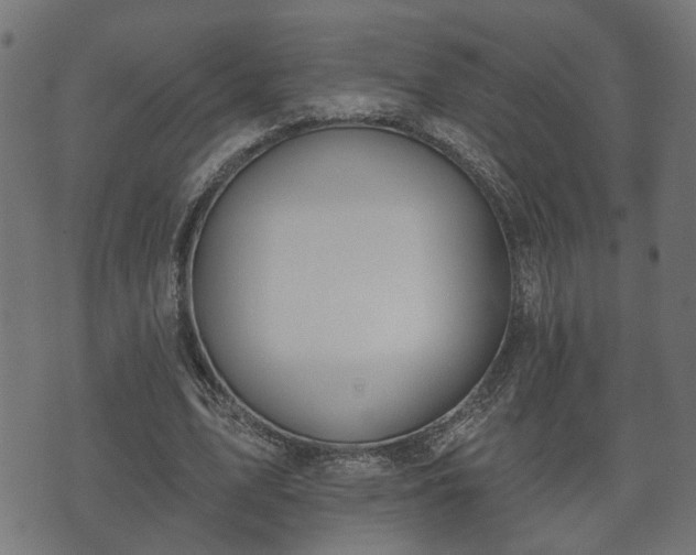 X0000070820583200606230924