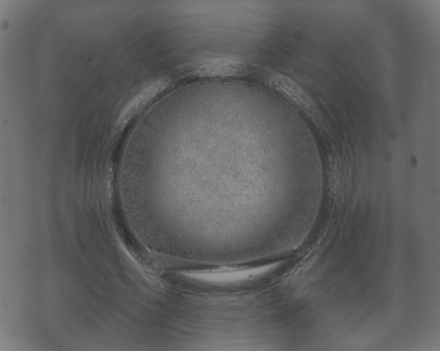 X0000070820586200606230923