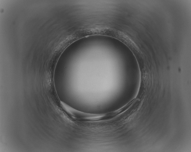X0000070820593200606230923