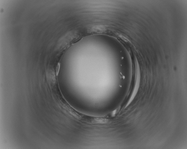 X0000070820617200606230923