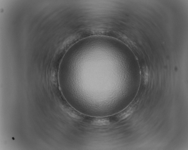 X0000070820619200606230923