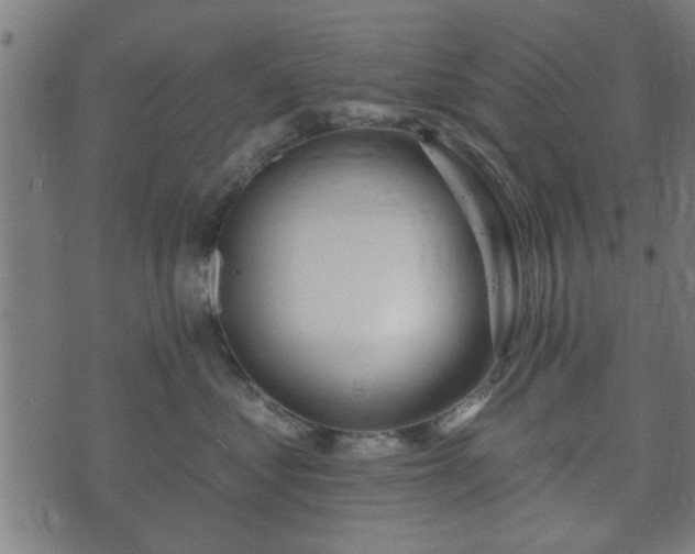 X0000070820621200606230923