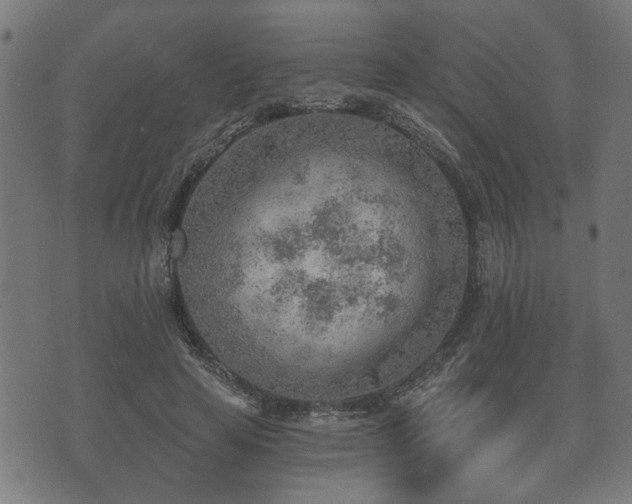 X0000070820641200606230922