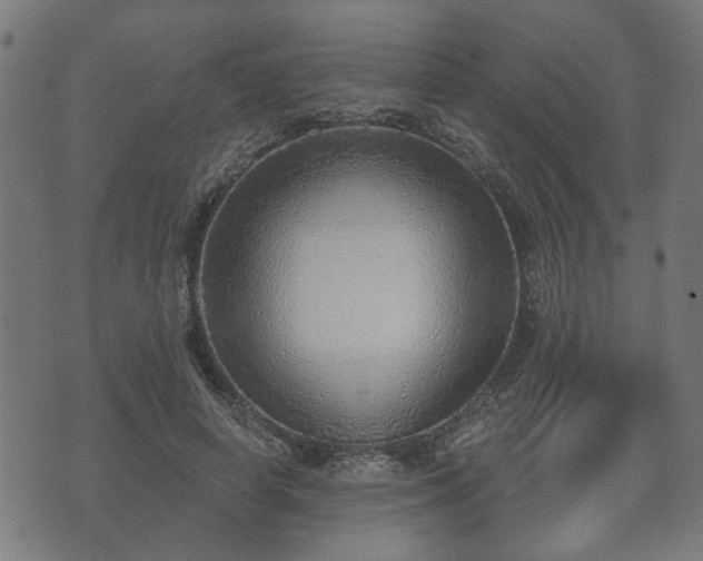 X0000070820642200606230922