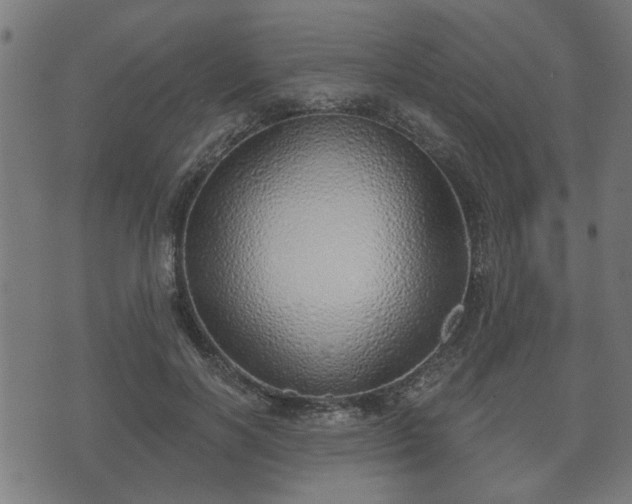 X0000070820646200606230922