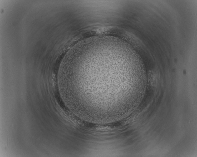 X0000070820650200606230922