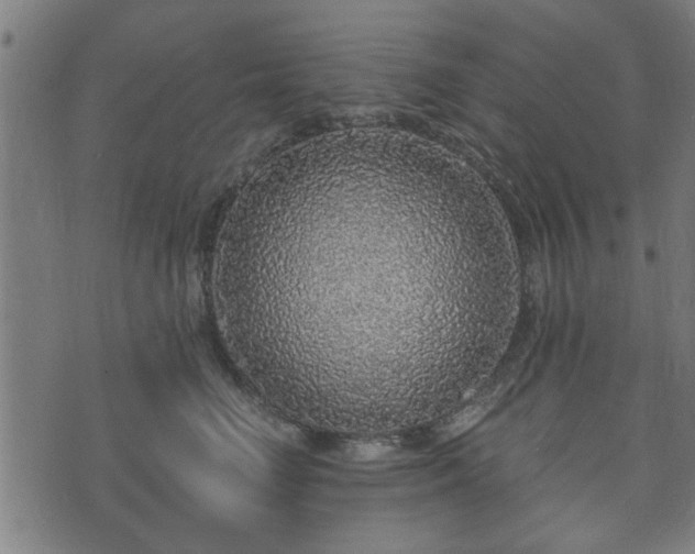 X0000070820662200606230923